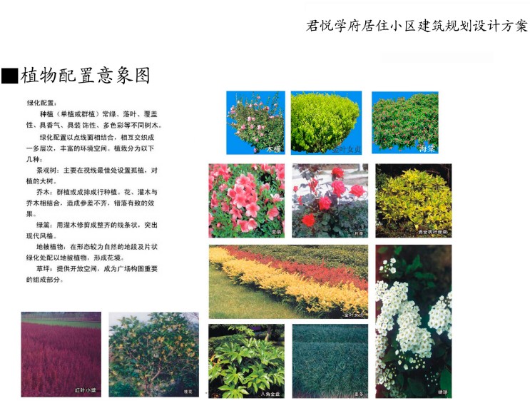 植物配置意象图